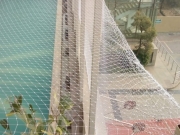 Anti Pigeon Net